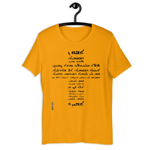 unisex-premium-t-shirt-gold-front-60d833ff53cbb.jpg