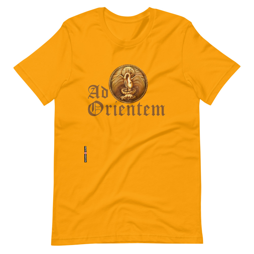 unisex-staple-t-shirt-gold-front-61091a105c36e.jpg
