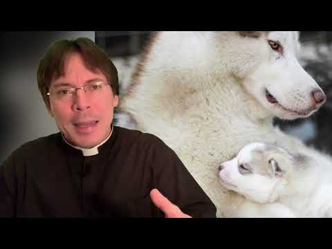 Animal Testing & Tainted Pharmaceuticals – Fr. Mark Goring, CC