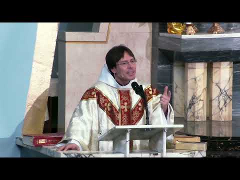 Apparitions of Jesus as a Child Explained – Fr. Mark Goring, CC