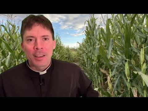 FATHER I’M STRUGGLING!!! – Fr. Mark Goring, CC