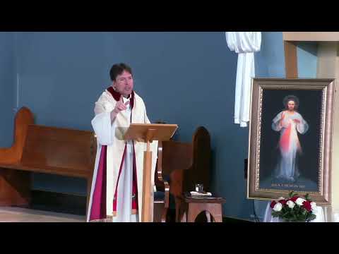 Divine Mercy Image Explained – Fr. Mark Goring, CC