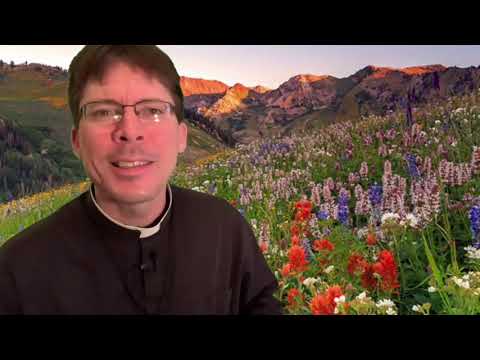 Mystic Gives Amusing Advice to Struggling Novice 😊 – Fr. Mark Goring, CC