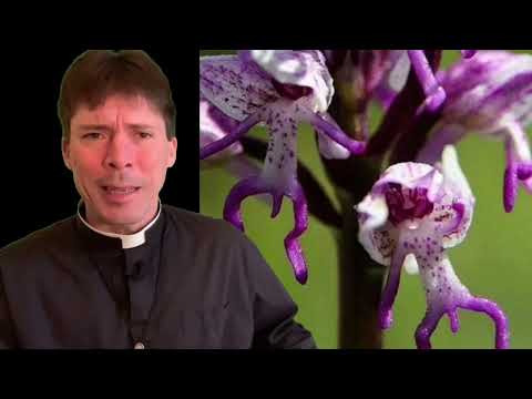 Orchids – There is a God – He has a Sense of Humor – Fr. Mark Goring, CC