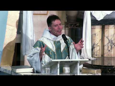 Visionary asks Mary about Ab0rtion – Fr. Mark Goring, CC