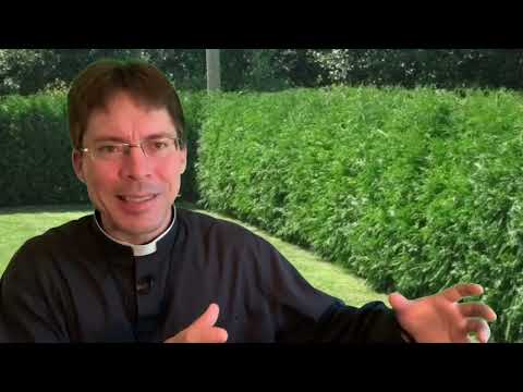 My Latest Weird Vision/Dream/Idea/Desire- Fr. Mark Goring, CC