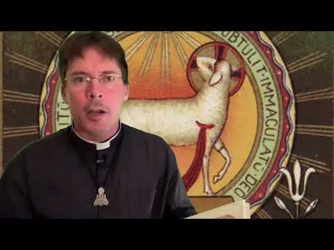 A Private Revelation Bathed in the Blood of Jesus – Fr. Mark Goring, CC