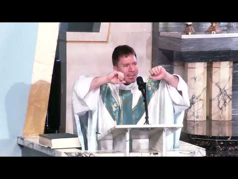 ***MUST WATCH VIDEO: Star, Dream, Mission, Battle, Mountain – Fr. Mark Goring, CC