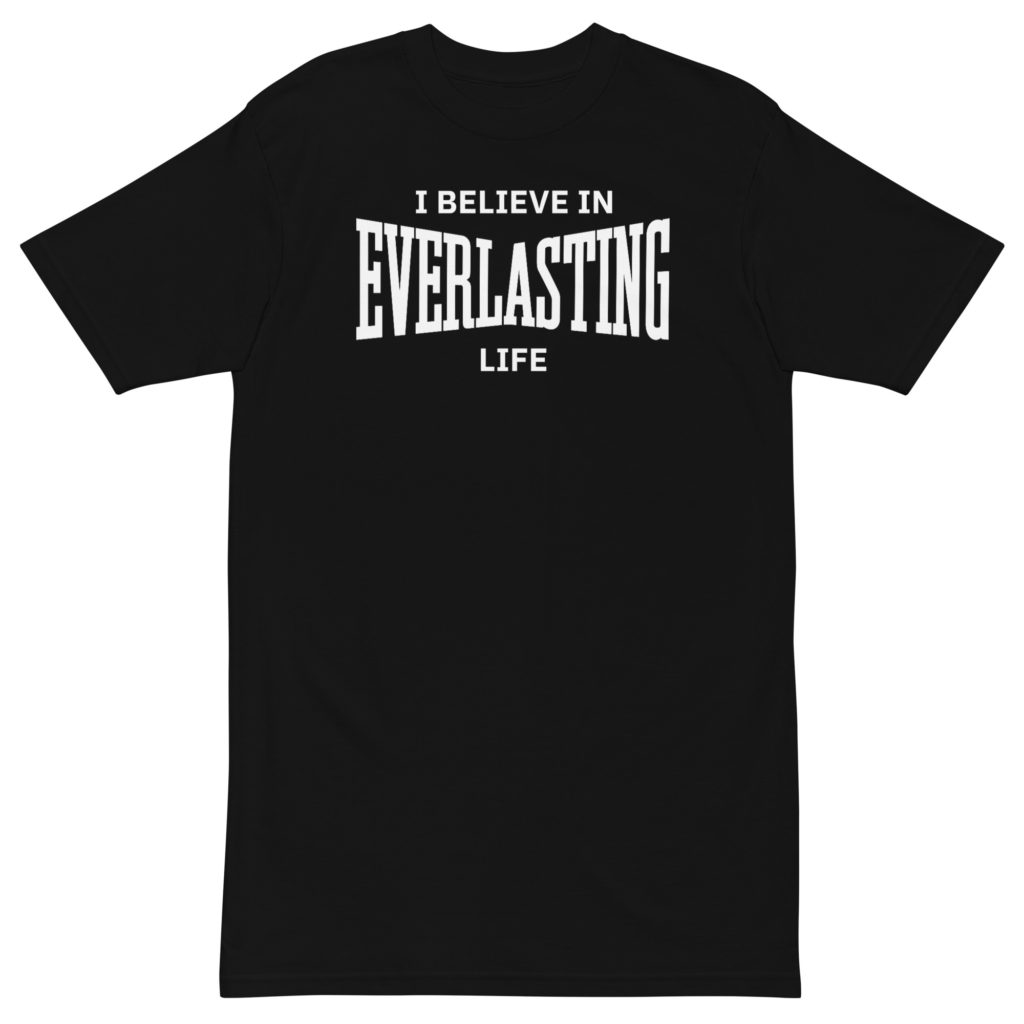 I Believe in Everlasting Life  premium heavyweight tee