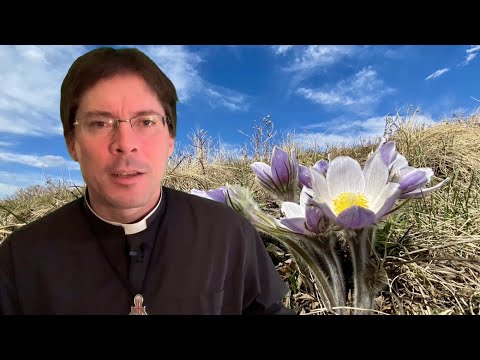 Experiencing Reality as a Sign – Fr. Mark Goring, CC