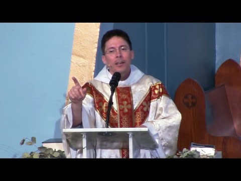 another WORLD HAS GONE BONKERS homily – Fr. Mark Goring, CC