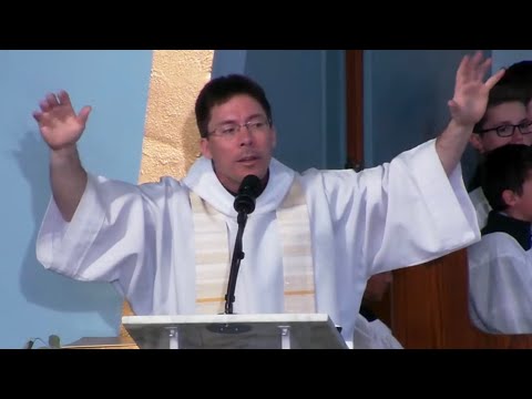 Why the World Cannot Receive the Holy Spirit – Fr. Mark Goring, CC