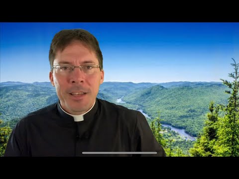 🌲🍁#1 Scripture for TREE LOVERS 🍁🌴 – Fr. Mark Goring, CC