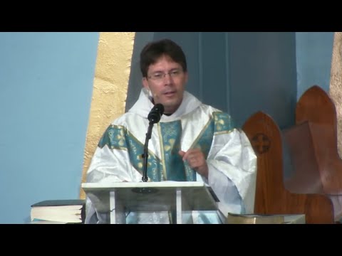 FIRE WILL FALL FROM THE SKY – Fr. Mark Goring, CC