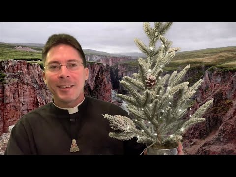 40 Day Pilgrimage to Christmas 🎄- Fr. Mark Goring, CC