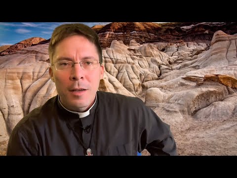 BISHOPS ASKED TO RESIGN? – Fr. Mark Goring, CC