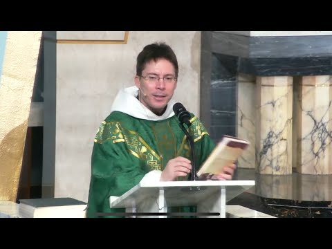 Priest Calls Visionaries “PACK OF LIARS” – B.V. Mary’s Response… – Fr. Mark Goring, CC