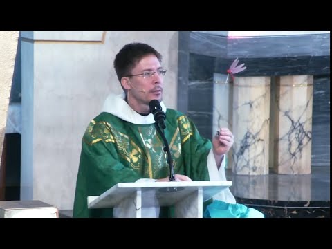 5 SIGNS OF HEAVEN – Fr. Mark Goring, CC