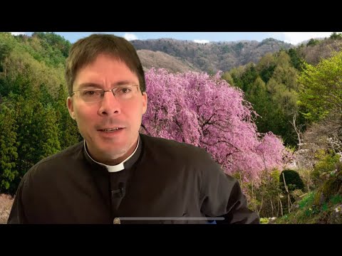 🤯Mystic’s Shocking Statement re. THOSE WHO SINNED THE MOST ON EARTH🤯 – Fr. Mark Goring, CC