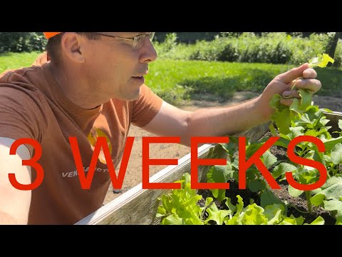 End Times Garden 🤯MIND BLOWING🤯 Update – Fr. Mark Goring, CC