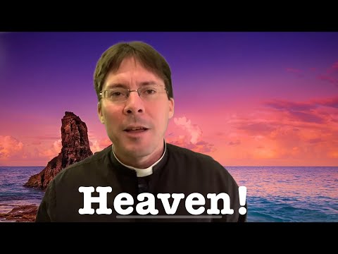 Alleged Visionary Describes HEAVEN – Fr. Mark Goring, CC