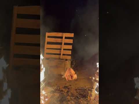 Pallet Roasted Chicken