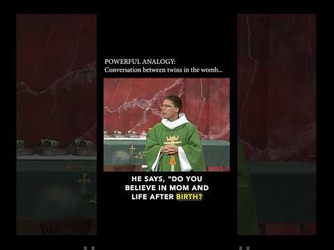 ‼️ Life After Birth? Heaven Analogy You’ll Never Forget – Fr. Mark Goring CC