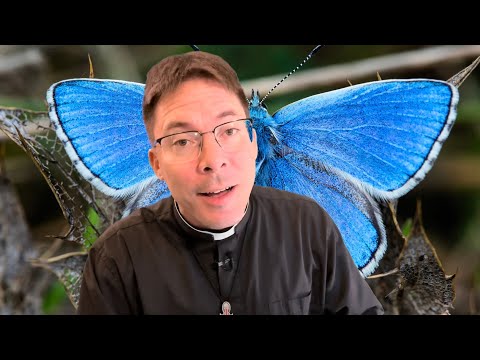 🌼🌺FEEL GOOD VIDEO🌸🌷 – Fr. Mark Goring, CC