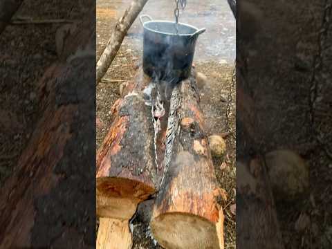 2 1/2 hour steady burn 🔥