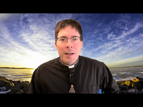 NOT IN HELL🔥Mystics Reveal Light at Moment of Death – Fr. Mark Goring, CC