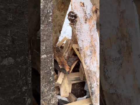 Only a Practicing Catholic will appreciate this… 😬