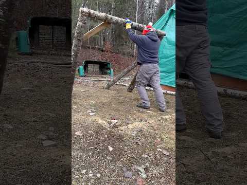 Stick to my day job?