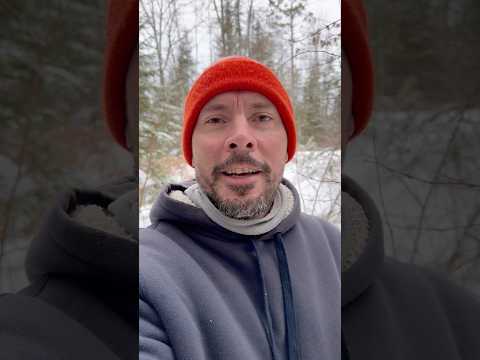 Sudden Inspiration (🔥Chicken Cookout)