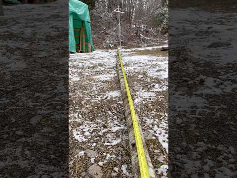 Unimportant Details for 🔥Chicken Cookout 🔥