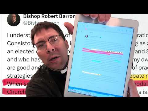 ⚠️ I’M DOUBLING DOWN: Bishop Barron Synodality Tweet – Fr. Mark Goring, CC
