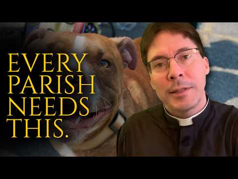 Tell Your Parish To Start Doing This…(I LOVE IT at MINE) The Big Give