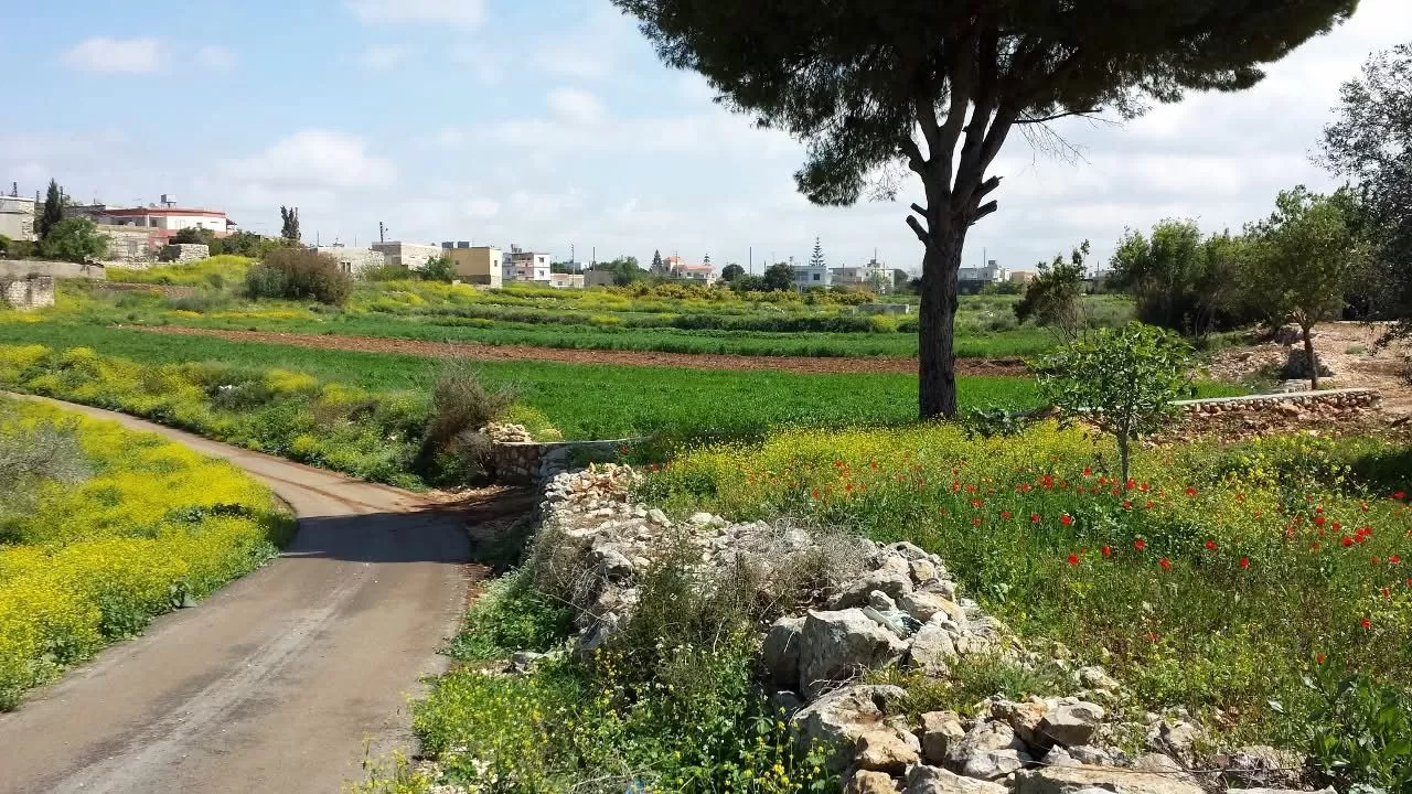 Christians in South Lebanon refuse to leave their towns as war escalates