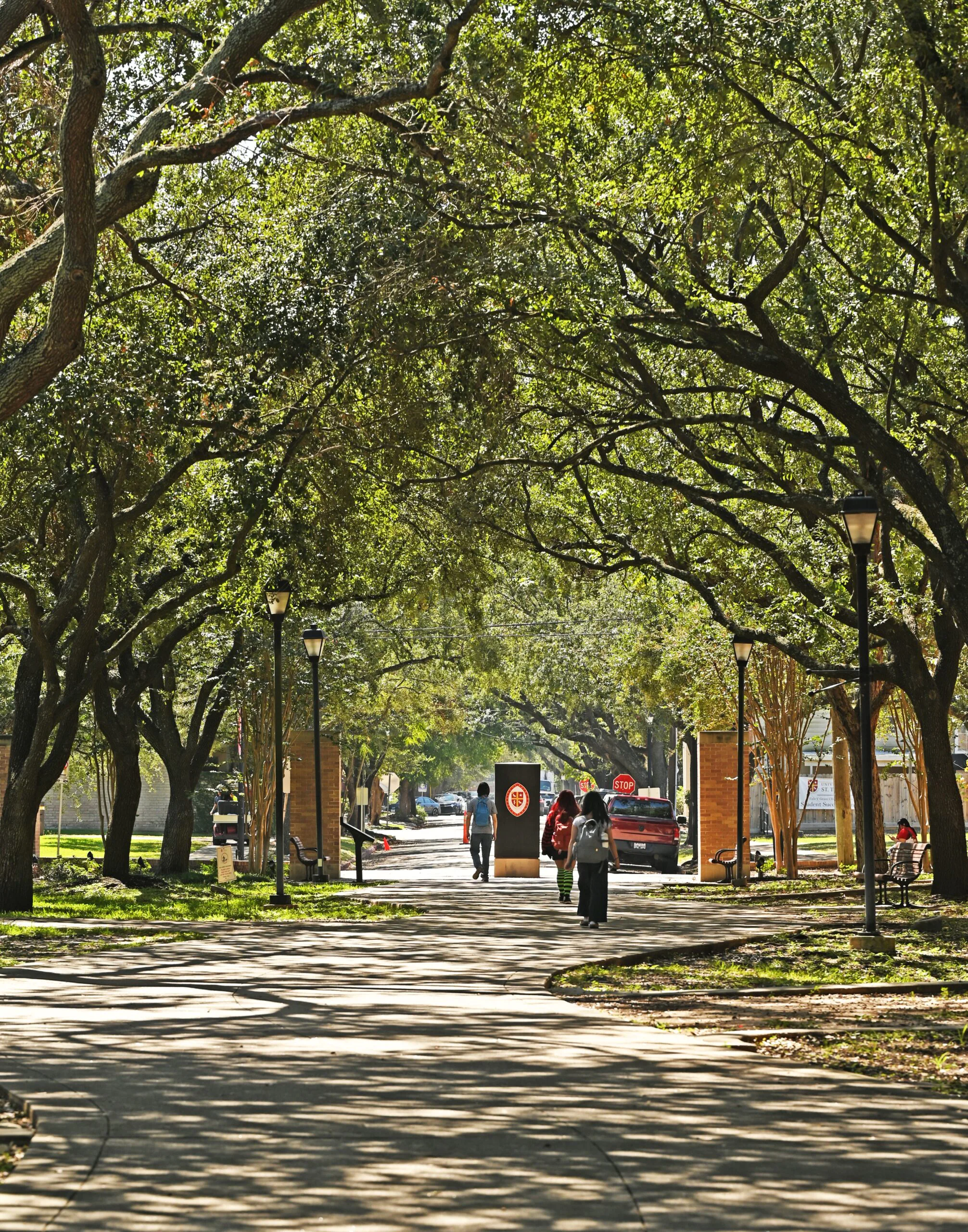 National Catholic leaders appointed to board of University of St. Thomas in Houston