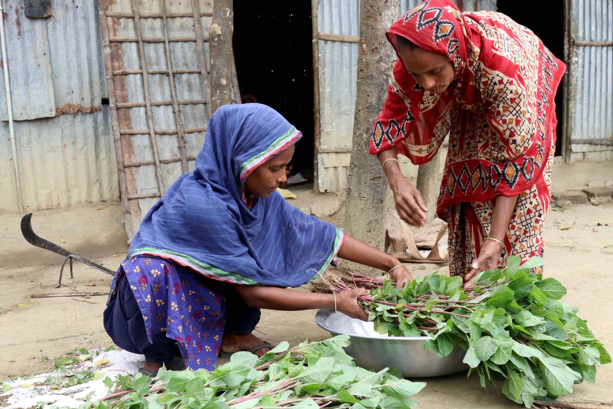 In Bangladesh, Caritas project puts Laudato Si’ into practice for poor families