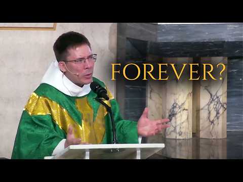 What Makes us IMMORTAL? – Fr. Mark Goring, CC