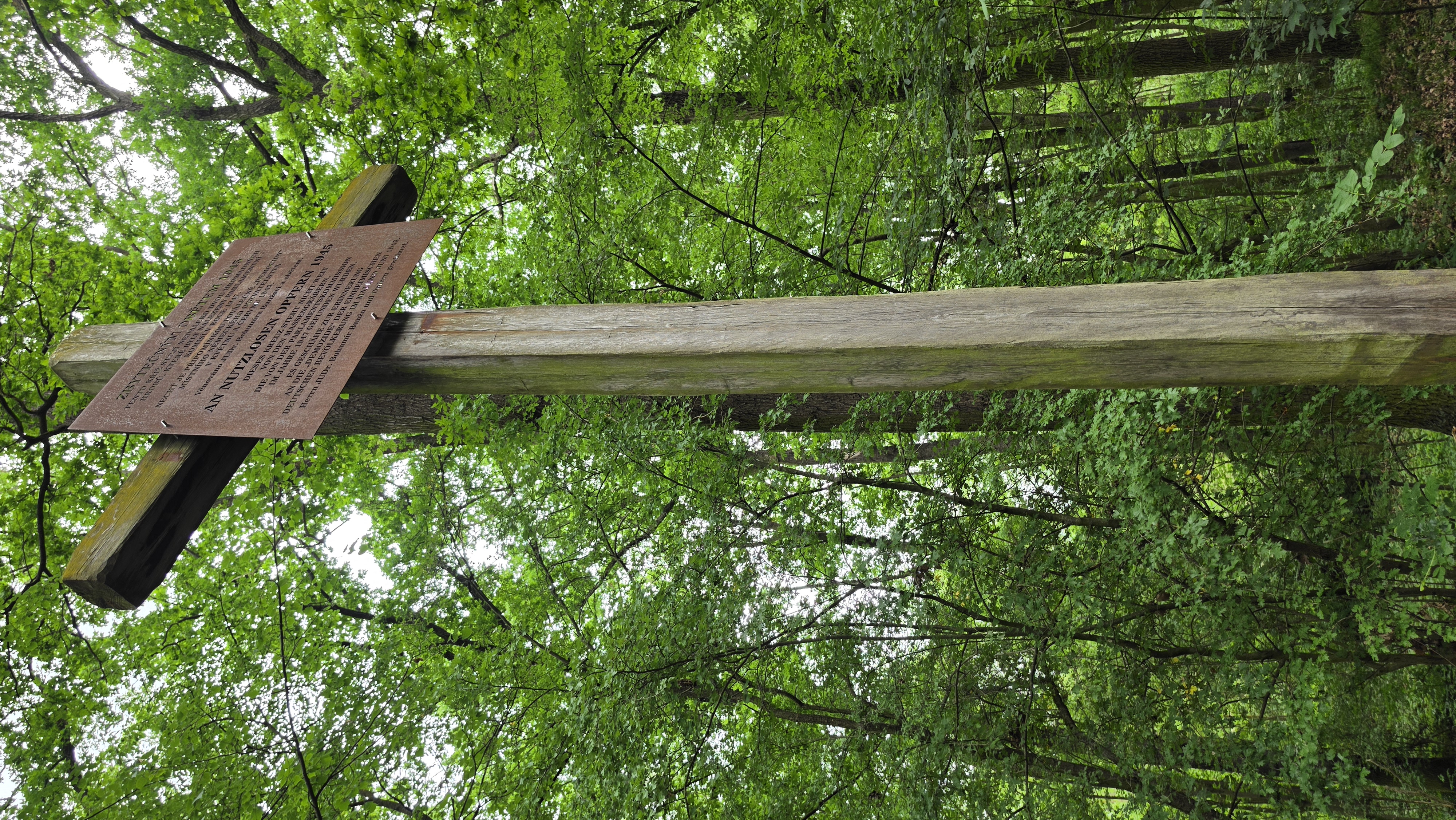 A wooden cross and memorial plaque stand near the mass graves of ethnic Germans killed in 1945, marked during the reconciliation pilgrimage near Postoloprty, Czech Republic, on June 3, 2026. | Credit: Diocese of Litoměřice