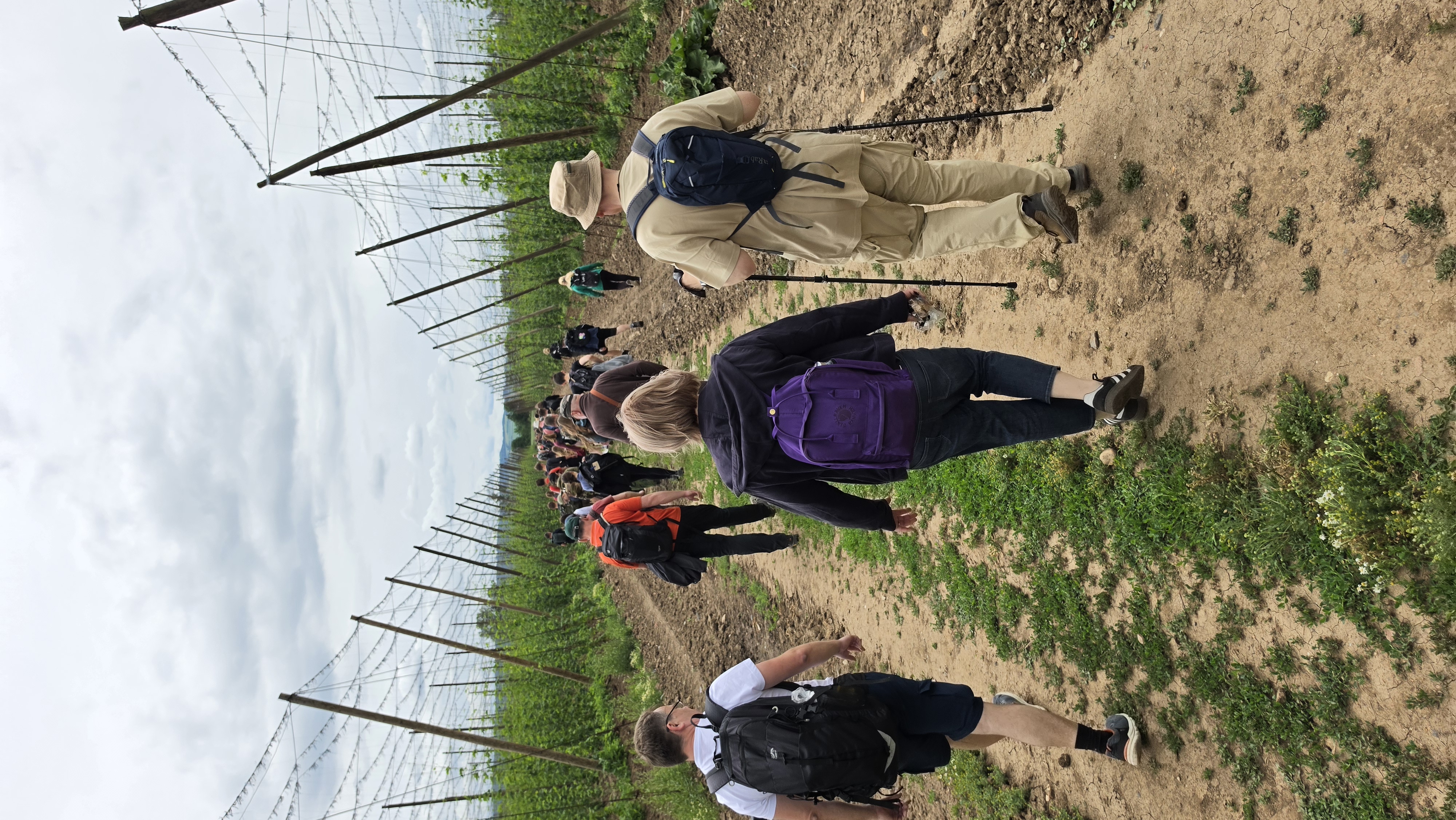 Participants walk through the countryside between Postoloprty and Žatec, Czech Republic, during the reconciliation pilgrimage on June 3, 2026. | Credit: Diocese of Litoměřice