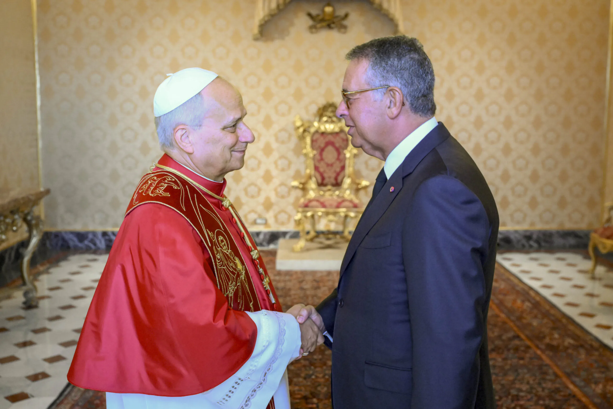 Pope Leo, Hungarian prime minister discuss Ukraine, Middle East, and AI
